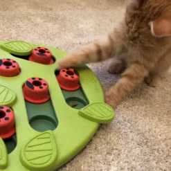 Aktivitetsleksak till katten