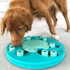 Aktivitetsspel för hunden