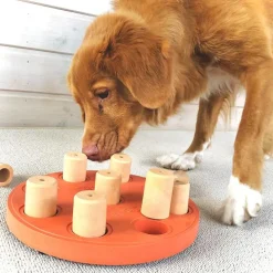 Aktivitetsspel för hunden