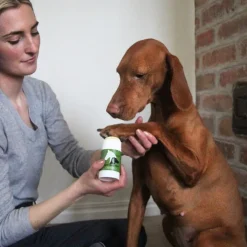 Antiskavstift till djur, The Skin Agent