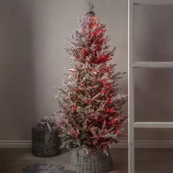 Appstyrd julgransbelysning