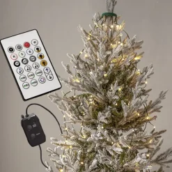 Appstyrd julgransbelysning