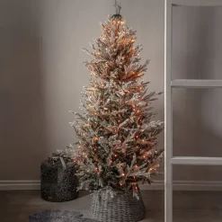 Appstyrd julgransbelysning