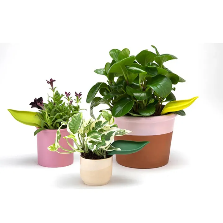 Bevattningstratt till kruka, 3-pack