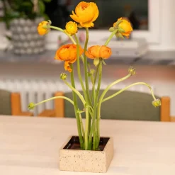 Blomsterfakir