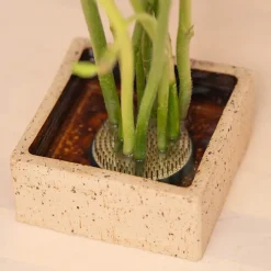 Blomsterfakir