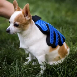 Borsthandske till hund & katt