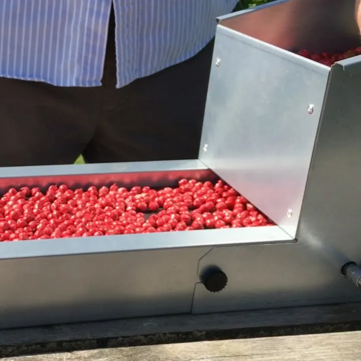 Bärrensare Berrybooster