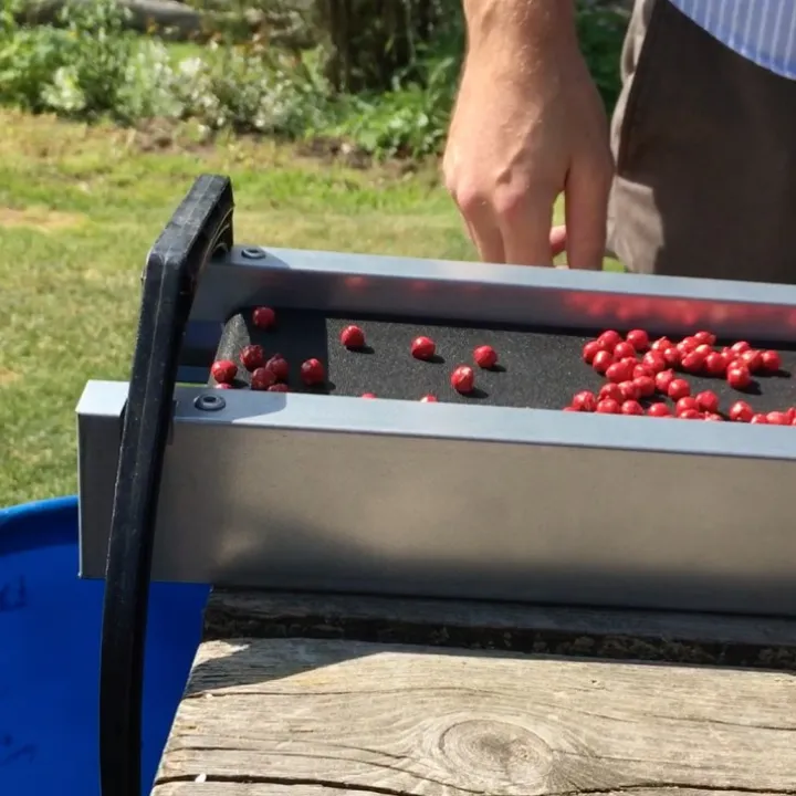 Bärrensare Berrybooster