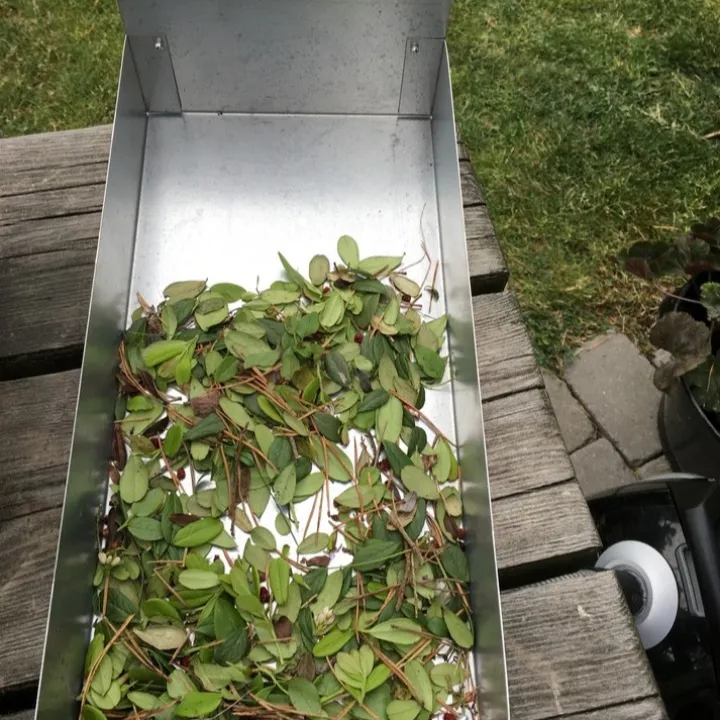 Bärrensare Berrybooster