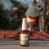 Desinfektionsspray för djur, Xinix FreeBact Surface