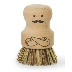 Diskborste i trä, Herr Scrubber, Kikkerland