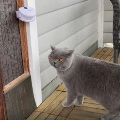 Dörrklocka för katten