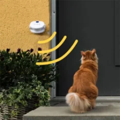Dörrklocka för katten