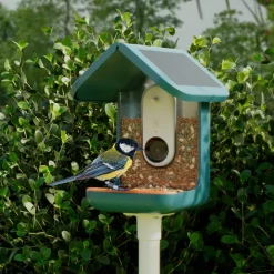 Fågelmatare med kamera, Birdbuddy