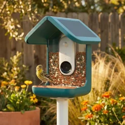 Fågelmatare med kamera, Birdbuddy