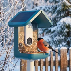 Fågelmatare med kamera, Birdbuddy