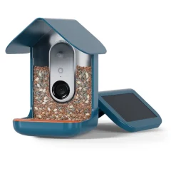 Fågelmatare med kamera, Birdbuddy