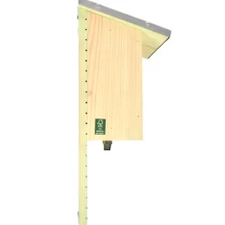 Fladdermusholk