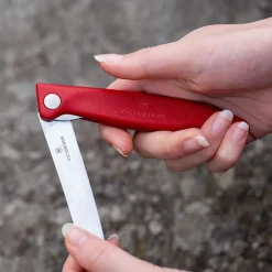 Fällbar picknickkniv