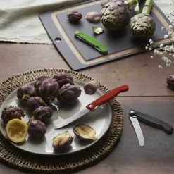 Fällbar picknickkniv med tandat blad