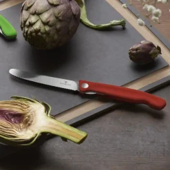 Fällbar picknickkniv med tandat blad