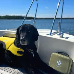 Första hjälpen-kit för hund och katt, Bered