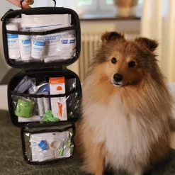 Första hjälpen-kit för hund och katt, Bered