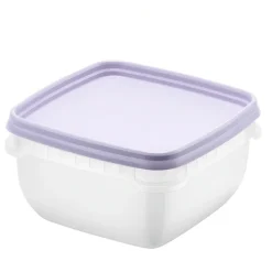 Fryslåda 0,5L 5-pack, SmartStore