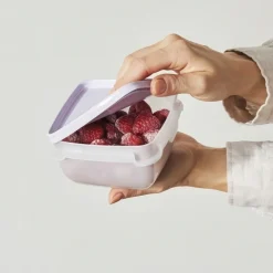 Fryslåda 0,5L 5-pack, SmartStore