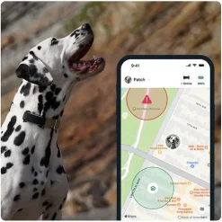 GPS till hund, Tractive