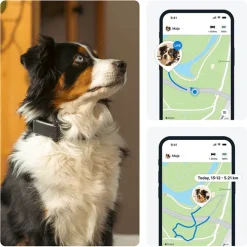 GPS till hund, Tractive