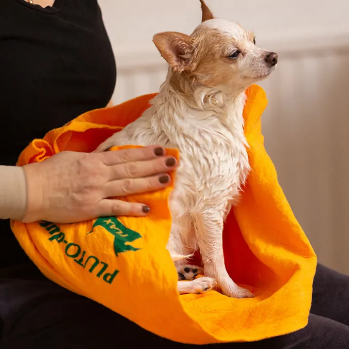 Handduk till hunden