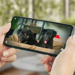 Husdjurskamera, PetCube