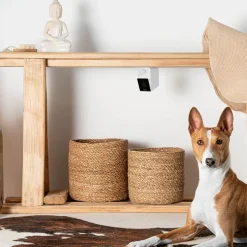 Husdjurskamera, PetCube