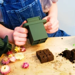 Jordkubare för odling