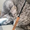 Kattspö