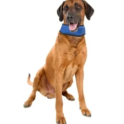 Kylande hundkrage