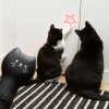 Laserpekare för katt