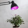 LED-Glödlampa till växter och odling