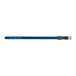 Lysande hundhalsband