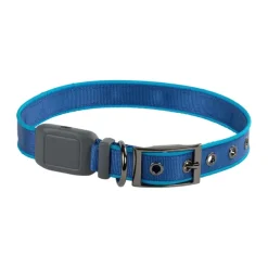 Lysande hundhalsband