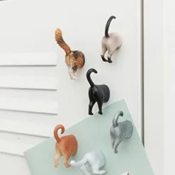 Magneter 6-pack, Kattrumpor, Kikkerland