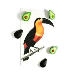 Magnetfigur 5-pack, Avokado