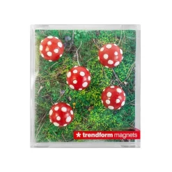 Magnetfigur 5-pack, Flugsvamp