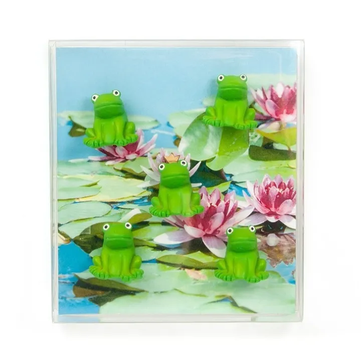 Magnetfigur 5-pack, Groda
