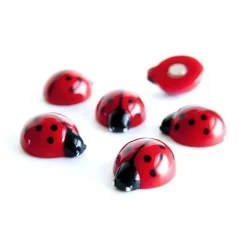 Magnetfigur 6-pack, Nyckelpiga