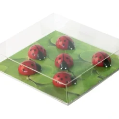 Magnetfigur 6-pack, Nyckelpiga