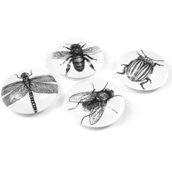 Magnet i glas 4-pack, Insekter