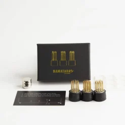 Magnetiska mini–blomsterfakirer 3-pack